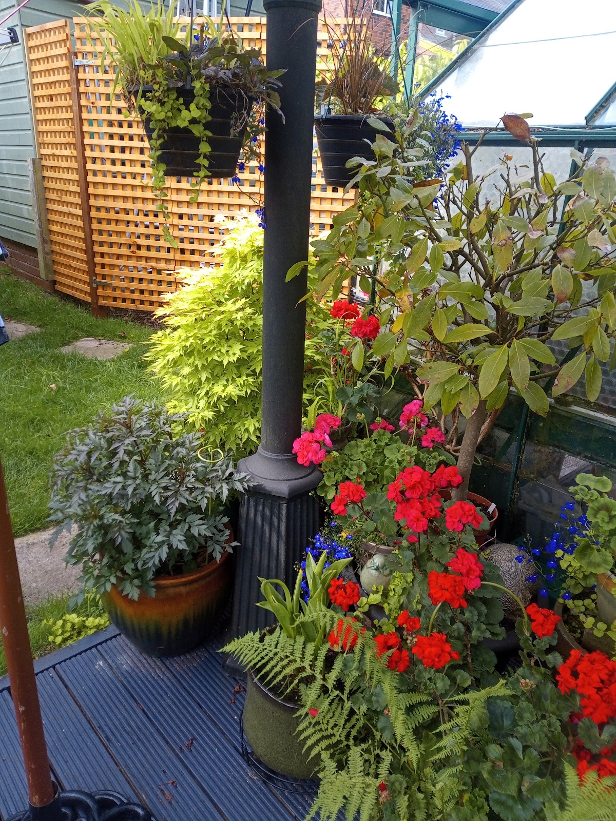 Garden work by Bury Gardening Services
