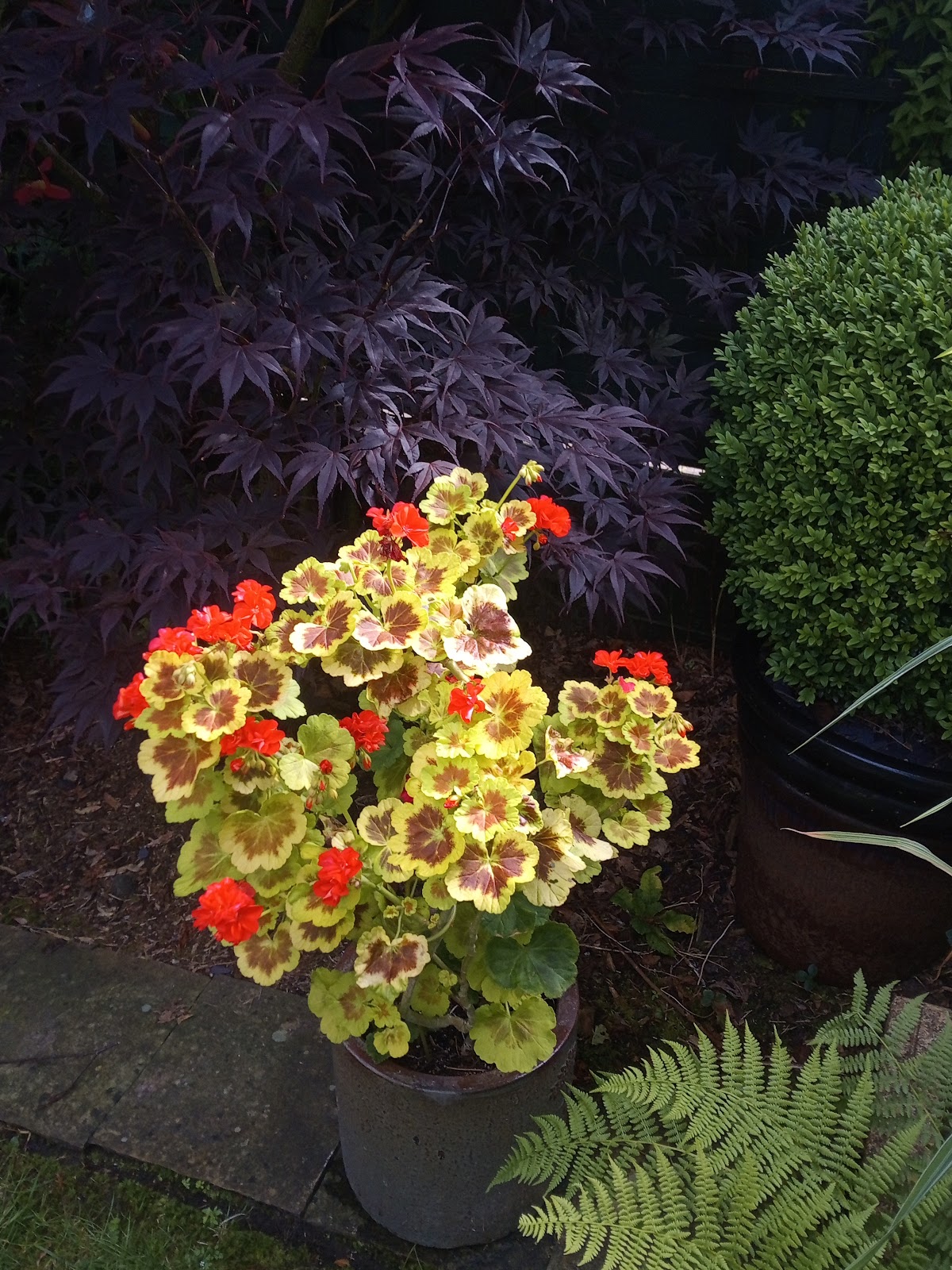 Bury Gardening Services project 2
