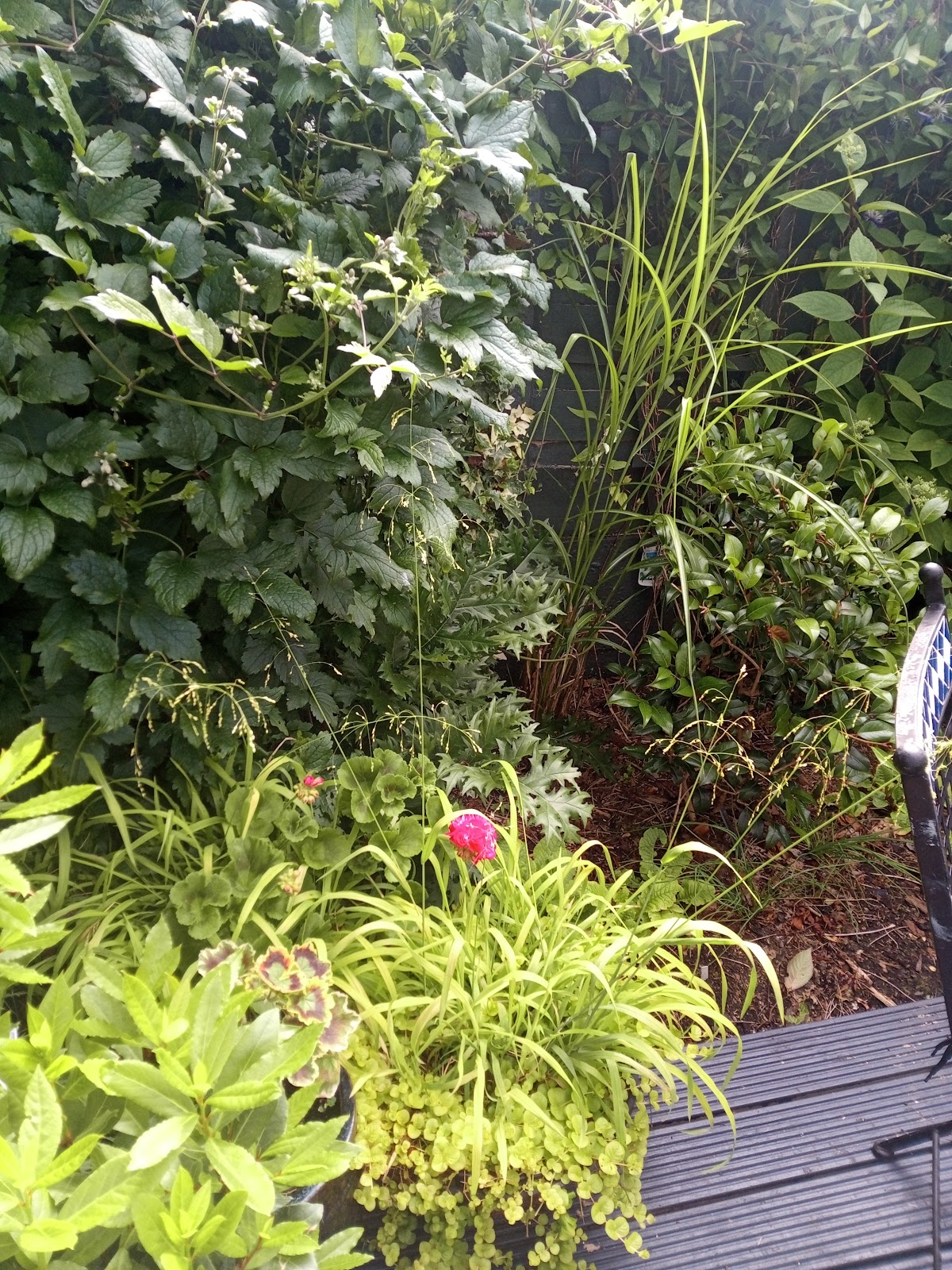 Bury Gardening Services project 3